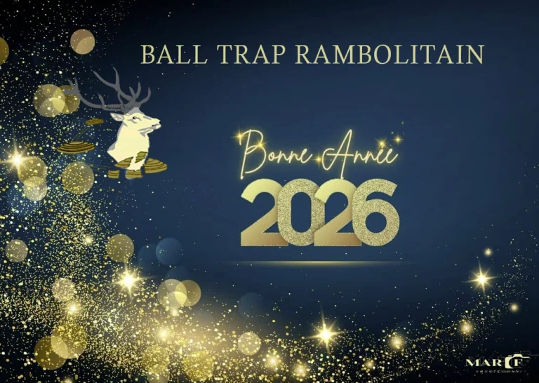 Bonne Année 2026