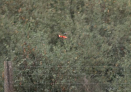 08420 12-septembre-2010 12h05m52s