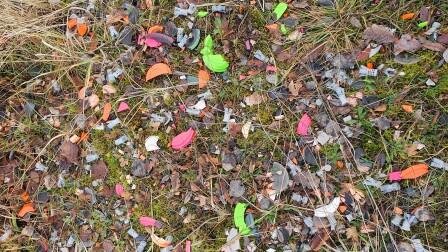 20200111 145549-petit