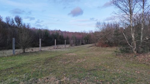 IMG 20230115 164910A